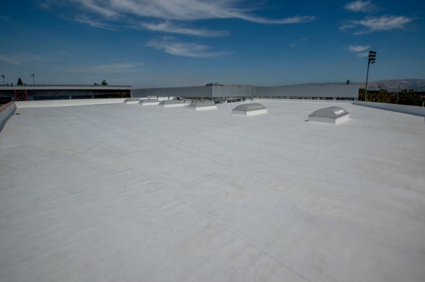 Best Steel Roofing  in Apache Junction, AZ
